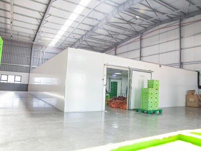 Walk in Freezer in Kenya: Everything You Need to Know