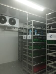 The different types of cold rooms
