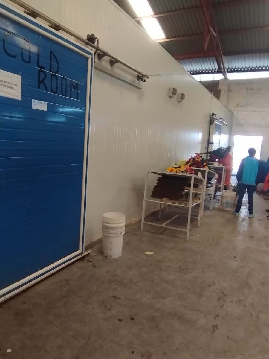 Premium walk in Cold Rooms in Kenya